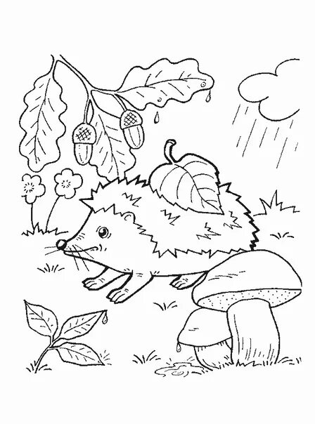 Premium Vector Autumn leaves, plants, mushrooms, pumpkin outline contour. colori