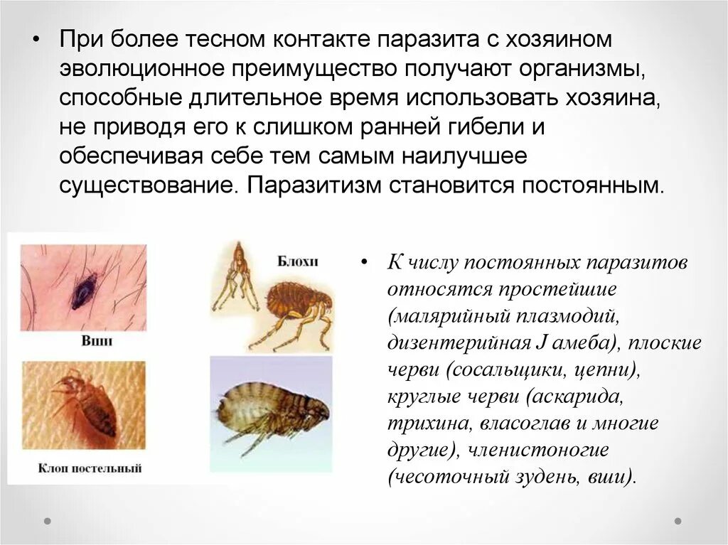 Организмы не способные к активному. Паразитизм это в биологии. Примеры паразитизма в биологии. Паразитизм примеры животных. Паразитизм примеры взаимоотношений.