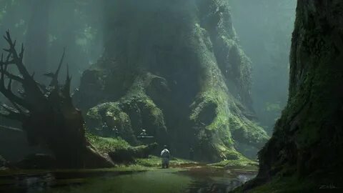 Fantasy environment