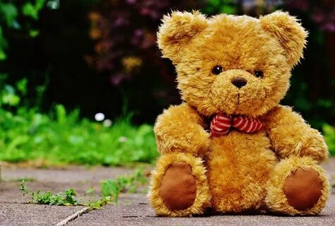 Teddy bear картинки
