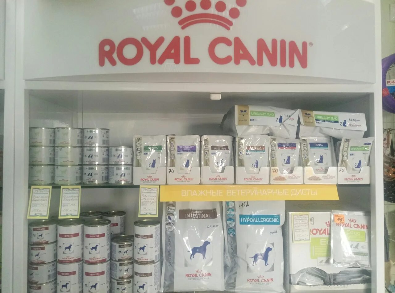 Стеллаж Роял Канин. Роял Канин влажный на прилавке. Royal Canin реклама. Раскладка на стеллажах Роял Канин.