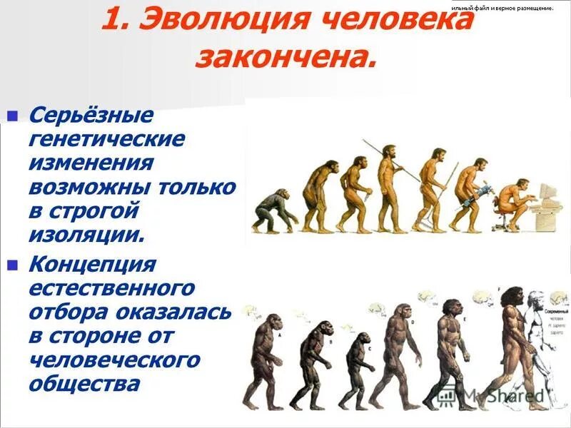 Название современного человека. Эволюция человека. Развитие человека. Этапы развития человека. Цепочка развития человека.
