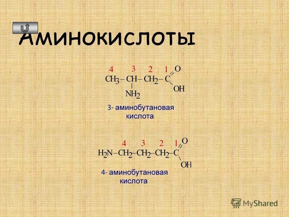 1 3 аминобутановая кислота