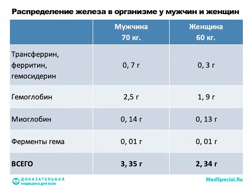 Анализ на железы у мужчин. Норма ферритина НГ/мл. Норма железа и ферритина в крови у женщин. Ферритин показатели нормы. Показатели ферритина норма.