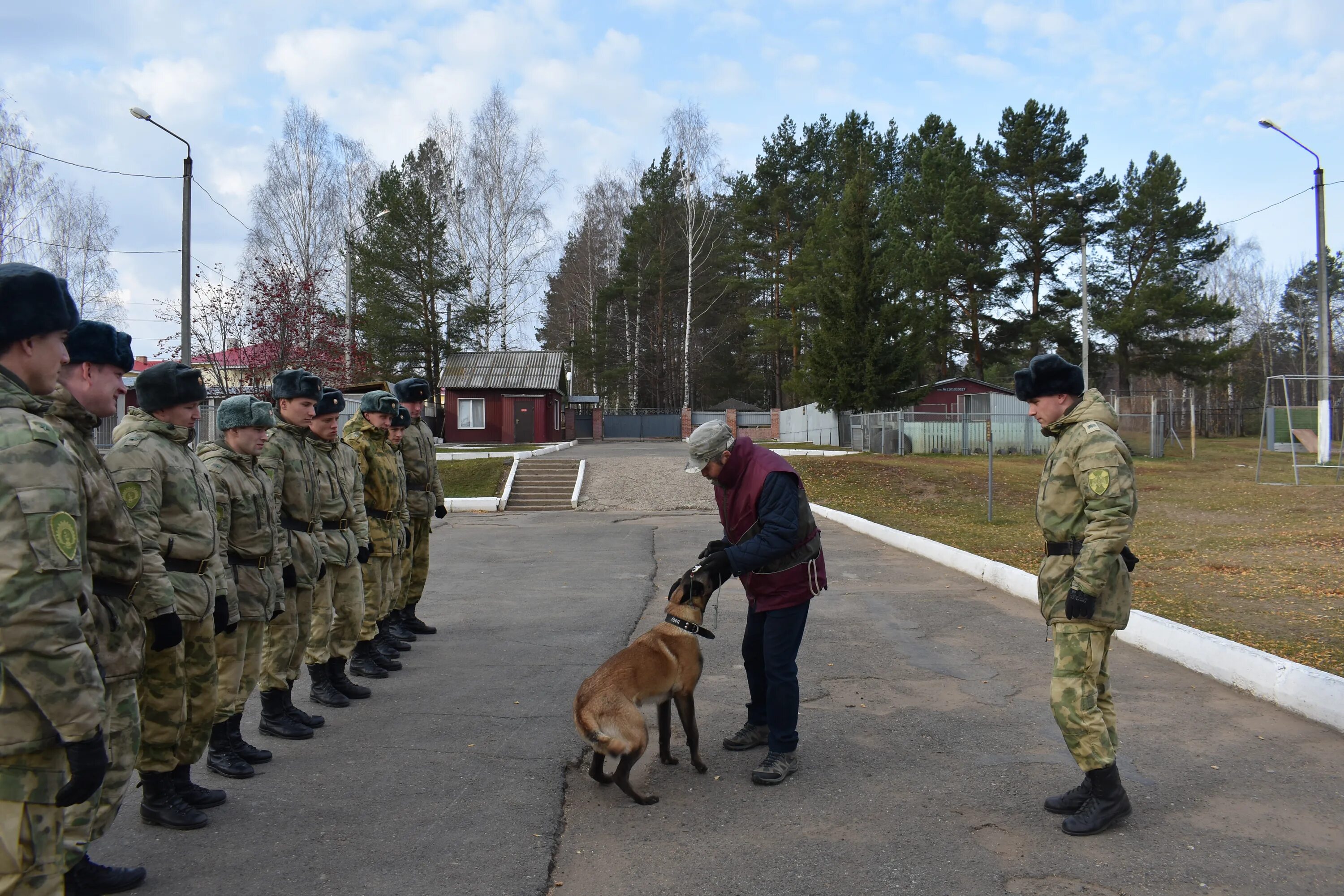 Кинолог институт. Кинологи Пермский военный институт. Кинологический военный институт. Университет кинологии в Перми. Факультет кинологии Пермь.