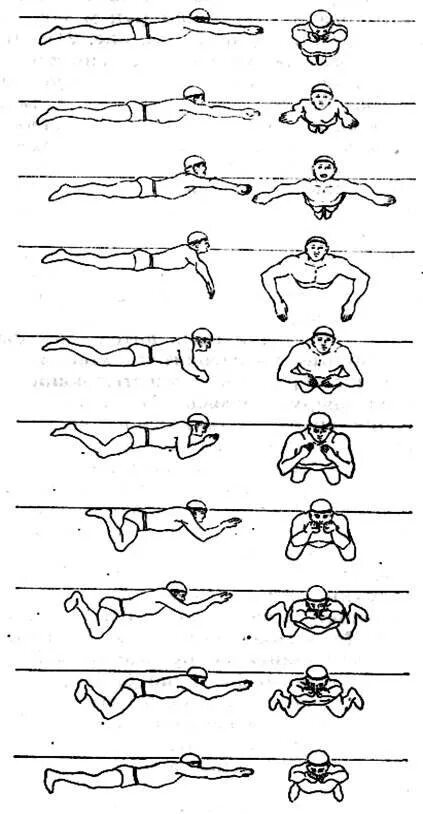 Упражнения научиться плавать. Схема плавания брассом. Стиль плавания брасс техника. Схема техники плавания брассом. Схема плавания кролем.