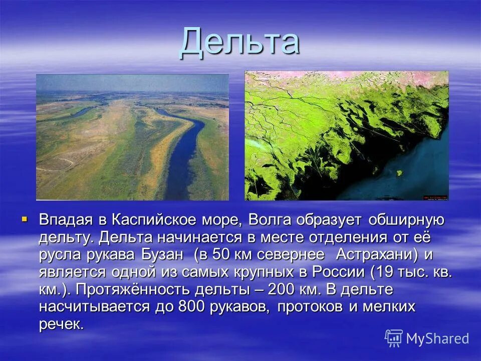 Река волга впадает в каспийское море знаки. Волга в месте впадения в Каспийское. Река образует дельту. Место впадения Волги в Каспийское море. Каспийское море Дельта Волги.