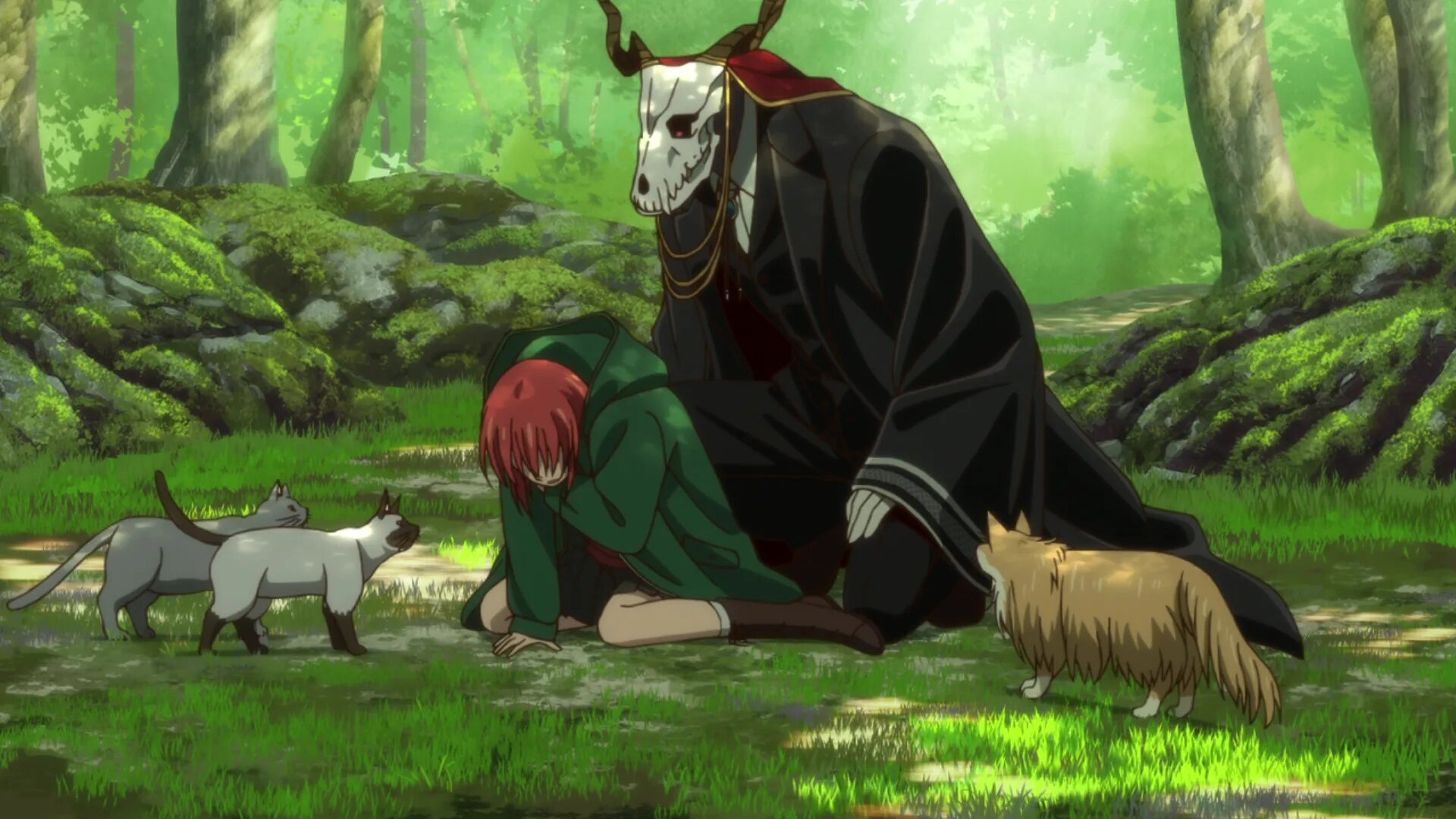 Невеста чародея был ли. Невеста чародея элиас и чисэ. Невеста чародея. Невеста чародея / mahoutsukai no yome. Шелковка невеста чародея.