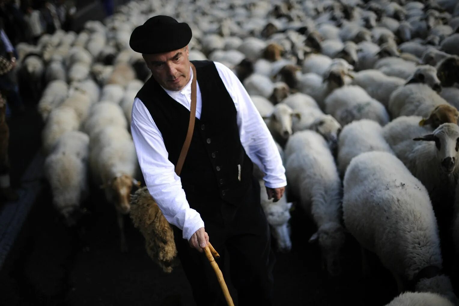 Пастух гонит стадо. Чабан пастух овец. Пастух с овцами. Пастух с баранами. Стадо овец с пастухом.