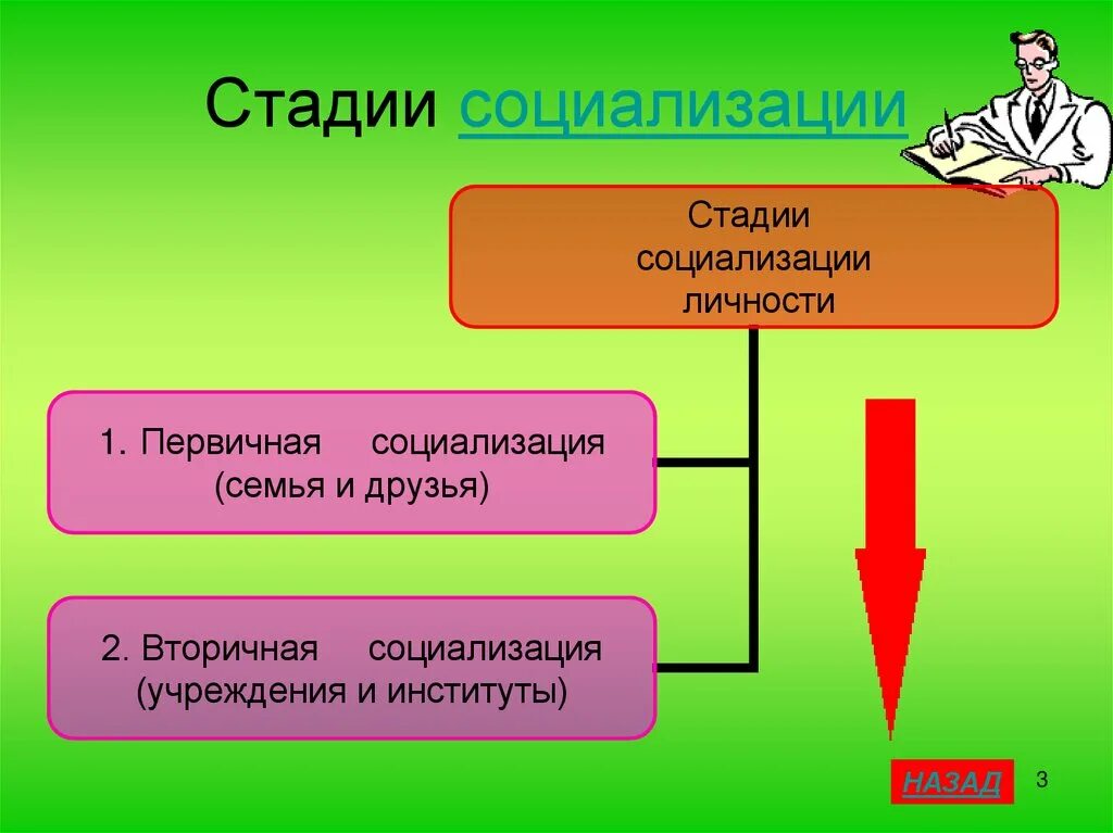 Составить план по теме социализация. Составить план по теме социализация