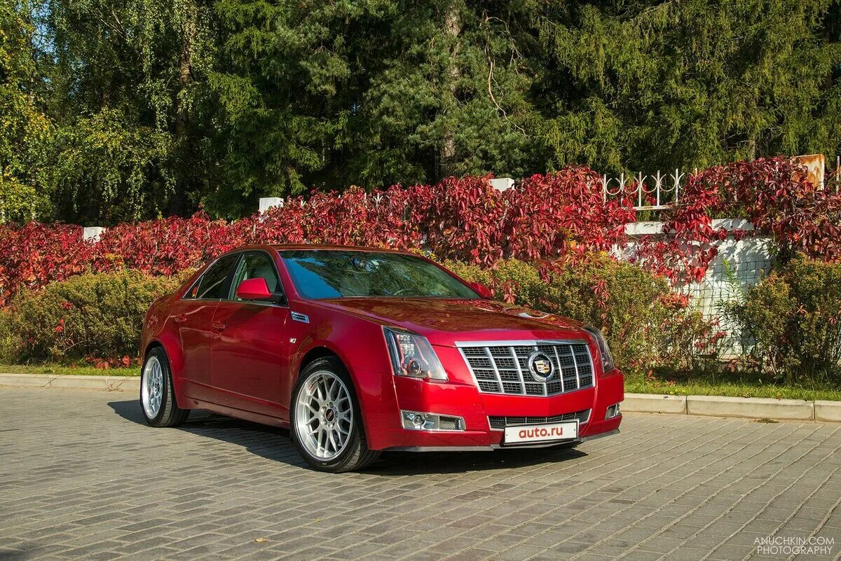 Cts msk. Cts msk. 6 2014. Cadillac cts v 3. Cadillac cts v 2020.