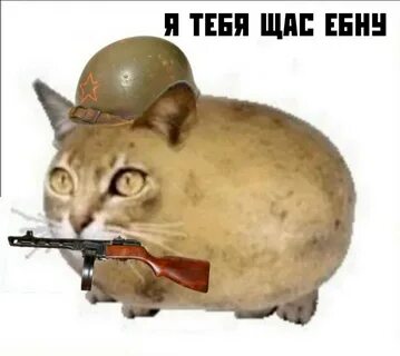 Гавкошмык