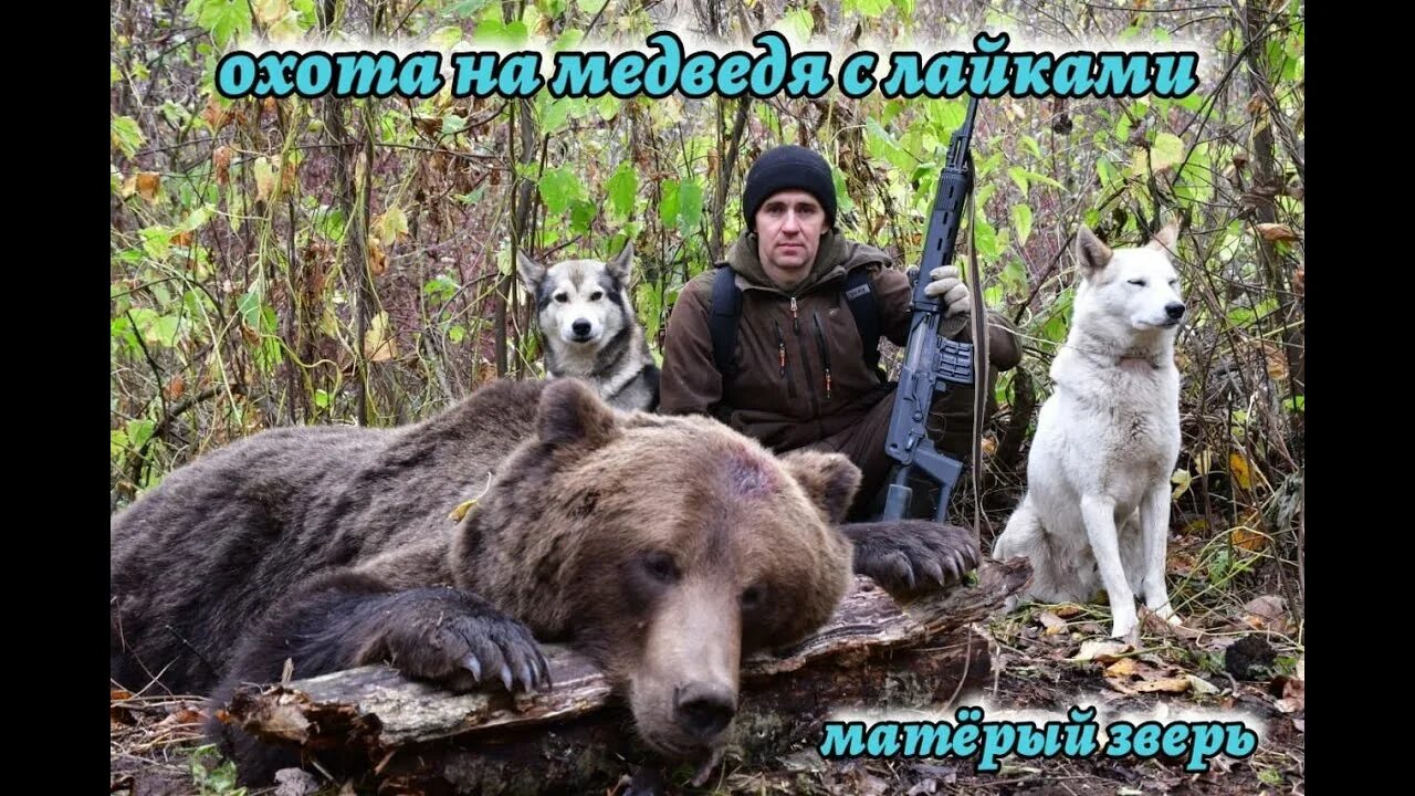 Охотник медведь фото