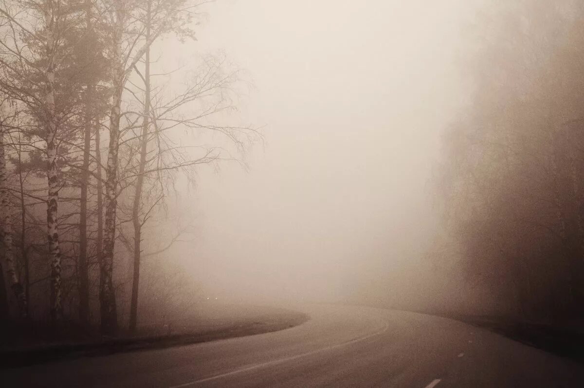 густой туман дорогах. густой туман. сильный туман на дороге. сильный туман. дорога в тумане.