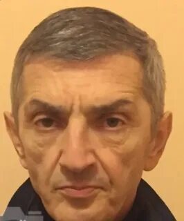 Политик в законе