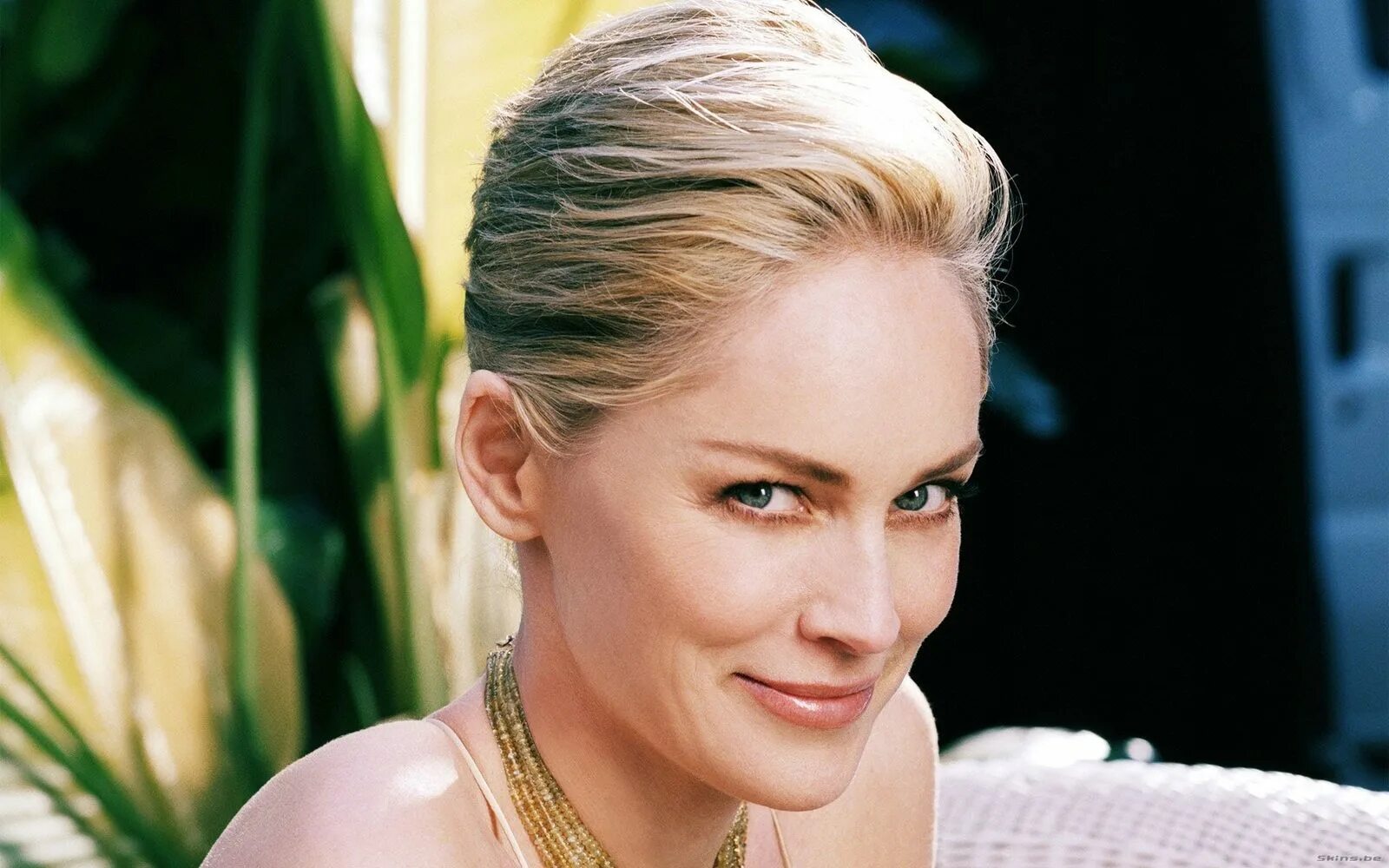 Шэрон Стоун. Шэрон Стоун фото. Шэрон Стоун (Sharon Stone). Шэрон Стоун фотосессия. Стоун женщина