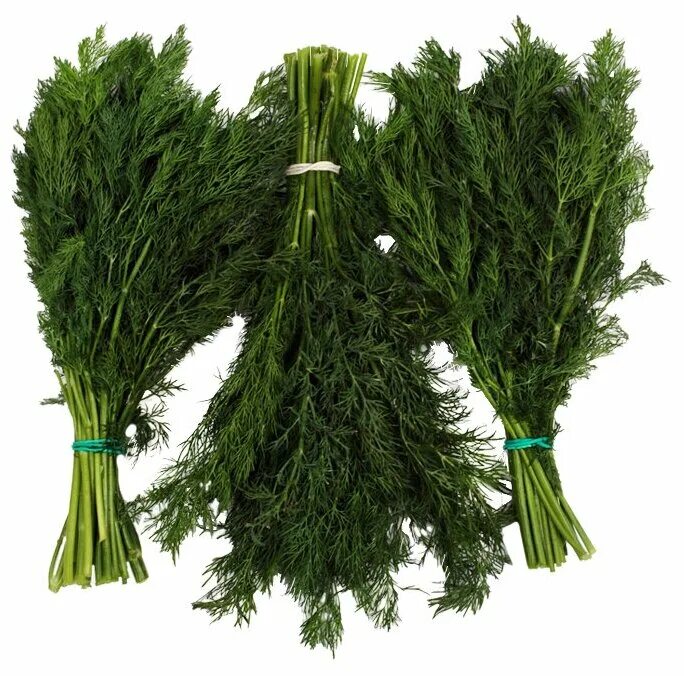 Набор зелени пряно вкусовой. Упаковка для зелени. Укроп 100 г. Укроп тетра ар. Ассорти зелени 100гр (лук, петрушка, укроп).