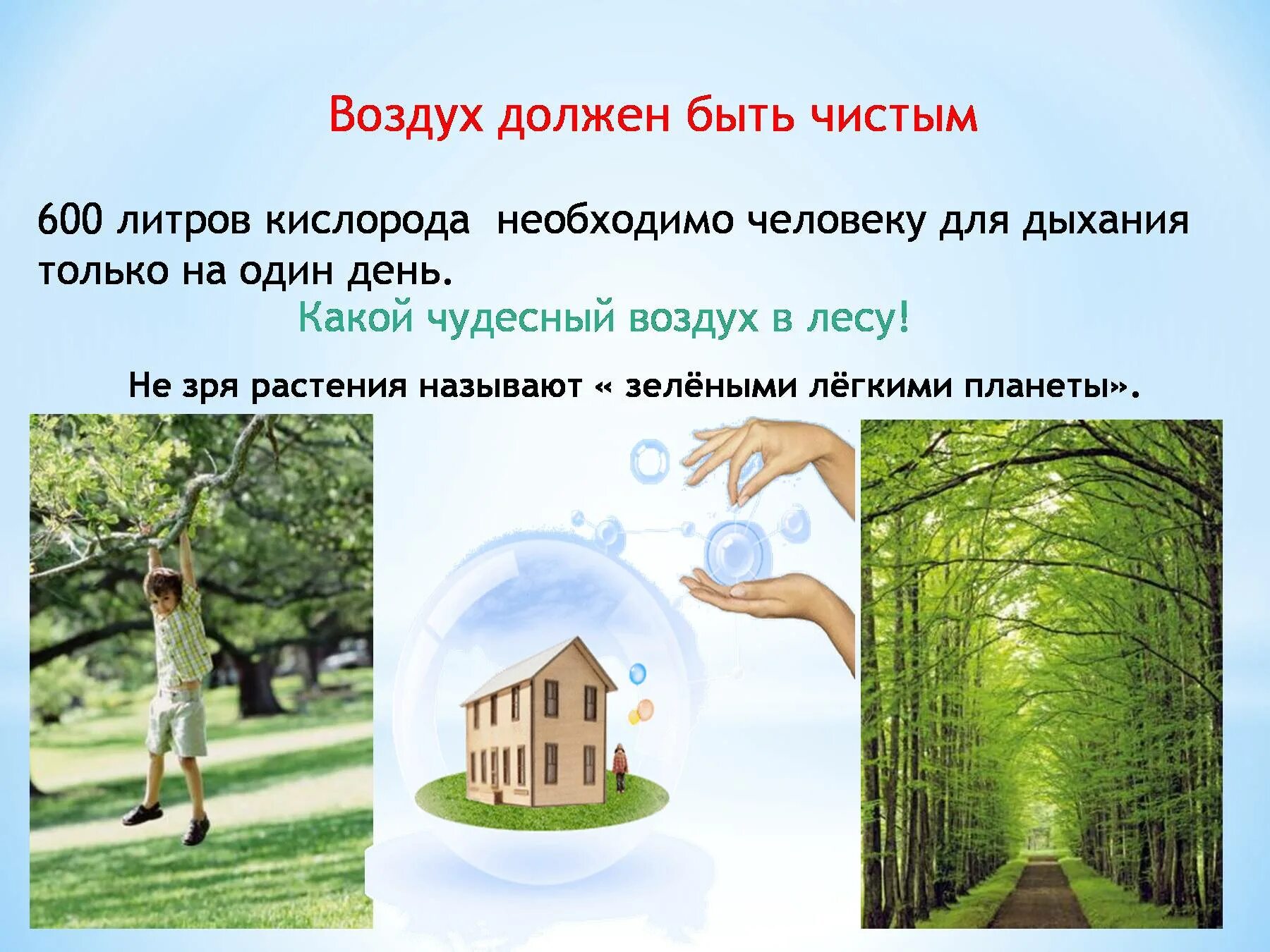 Сделай свежий воздух. Презентация на тему чистый воздух. воздух должен быть чистым. сохранение чистоты воздуха. воздух должен быть чистым 3 класс.