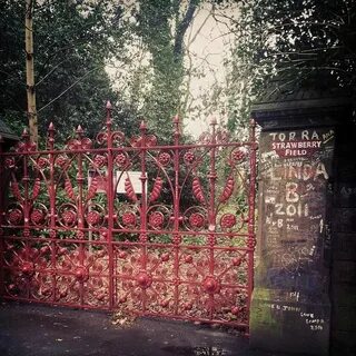Strawberry fields