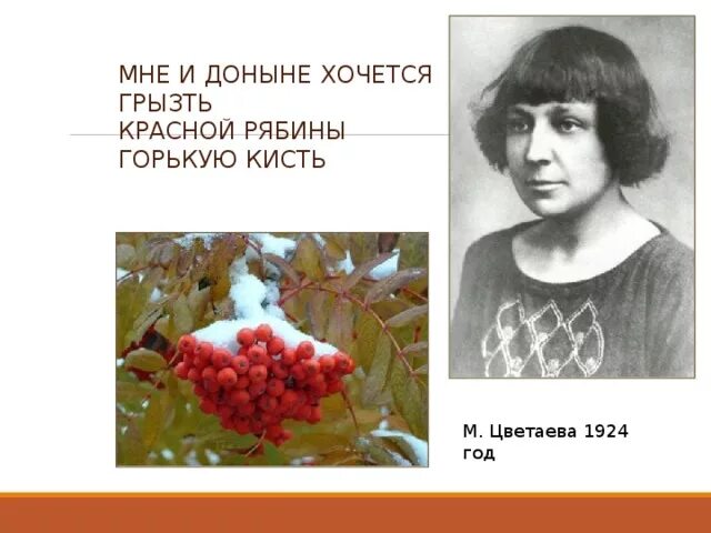 Стихотворение красною кистью цветаева. Цветаева рябина. Цветаева красной рябины горькую кисть. Цветаева горькая кисть.