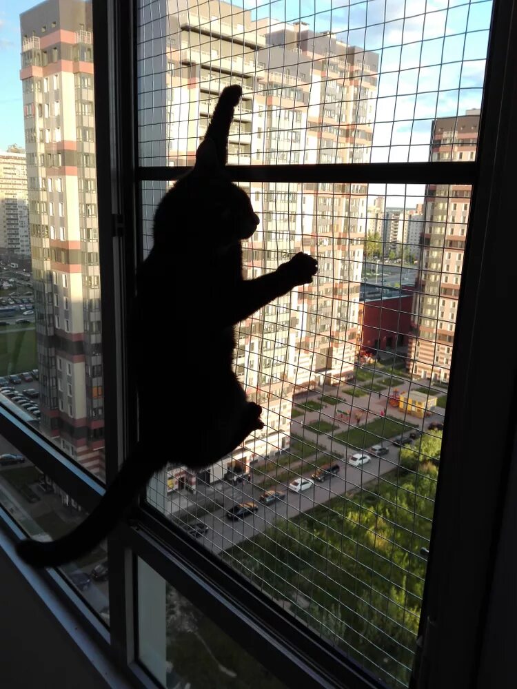 Kaleva антикошка. Kaleva антикошка. петскрин антикошка. сетка антикошка. решетка антикошка на пластиковые окна.