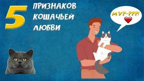 Кошачьи признаки