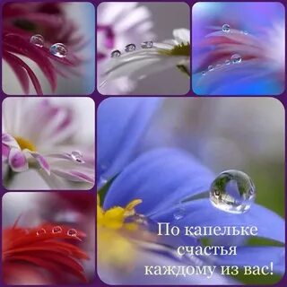Капелька счастья