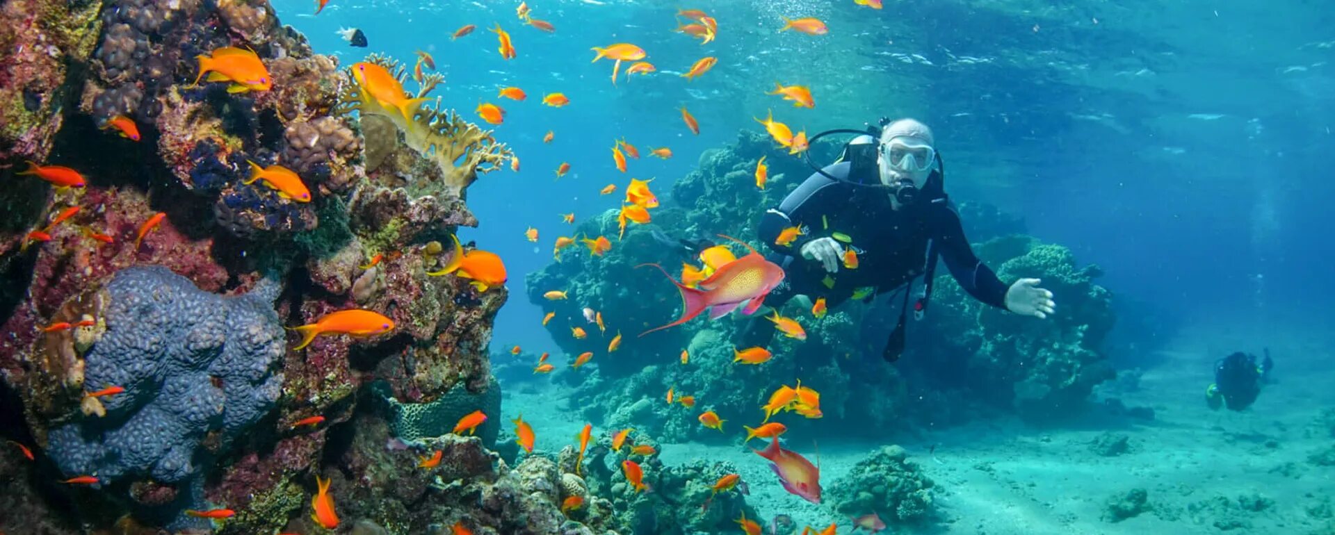 Diving Hurghada. Дайвинг в Хургаде. Дайвинг в Египте. Красное море фото под водой Хургада.