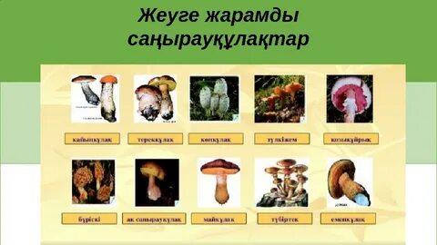 Атлетикалық ханым Брэнди Лав әдемі жігітті трахает