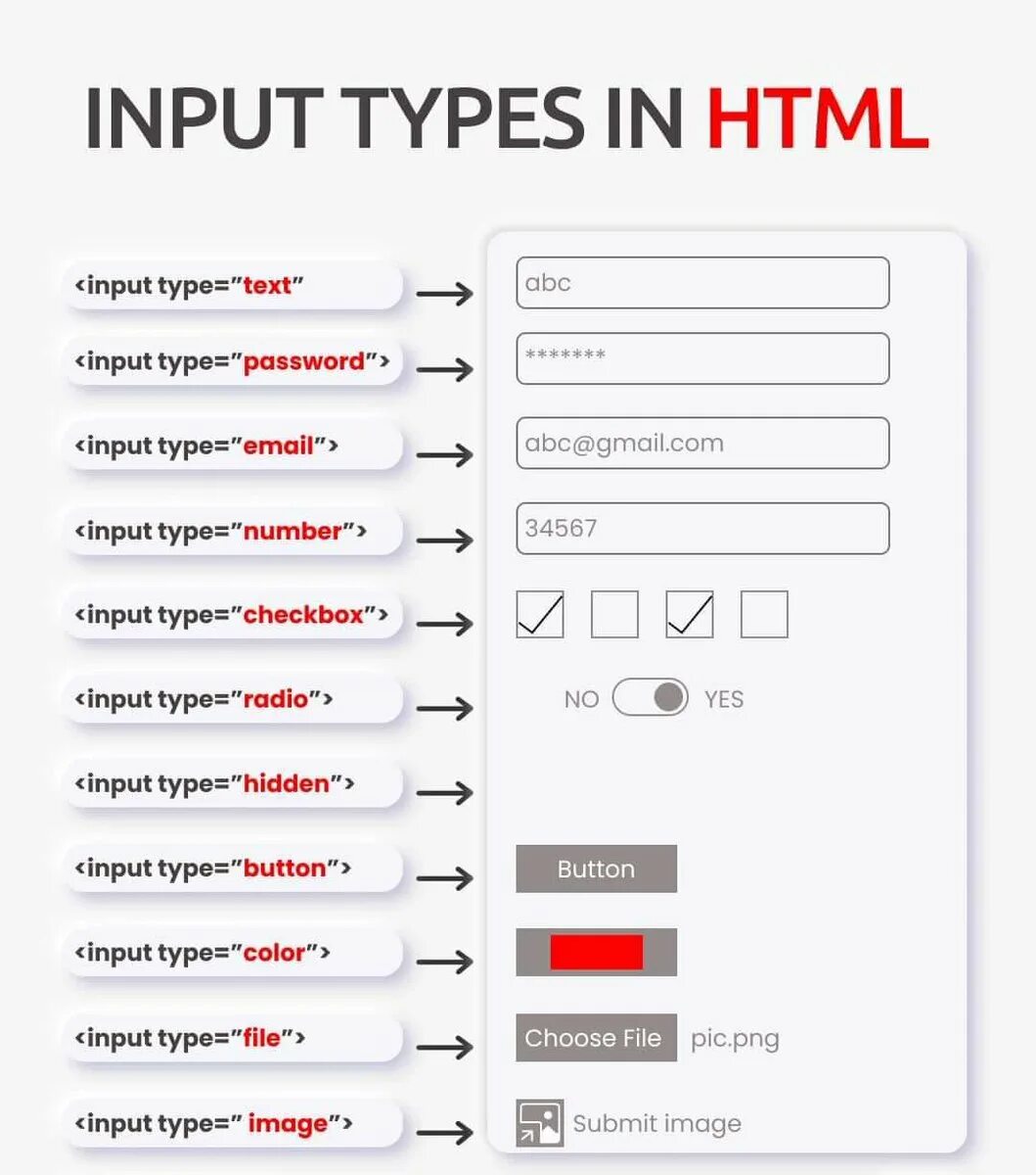 Input tag. Инпут хтмл. input type text html. типы input html. input html атрибуты.
