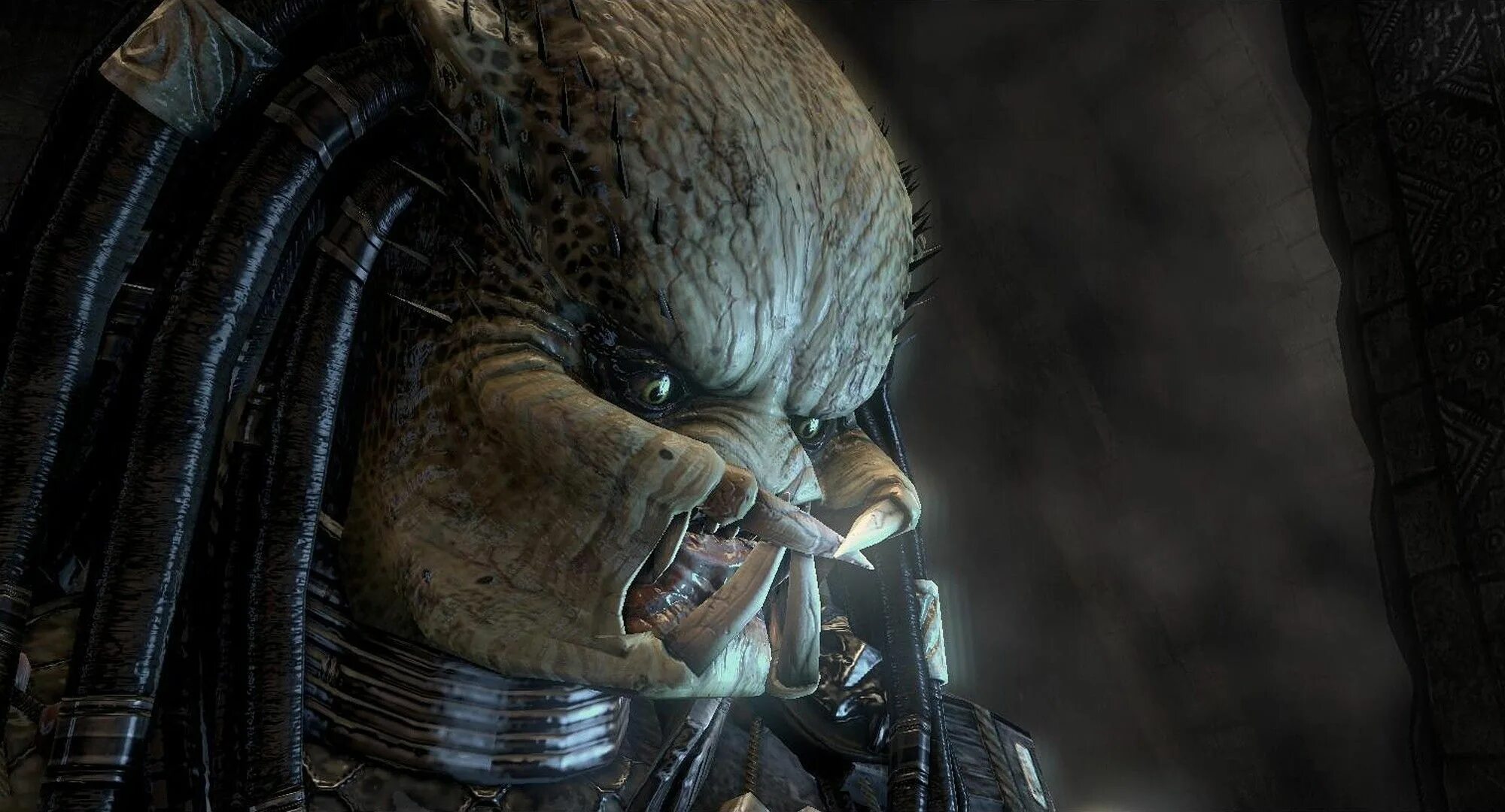 Хищник на рабочий стол. Avp: alien vs. Aliens vs predator чужой. Хищник против хищника 4. Alien vs predator 2010 предалиен.