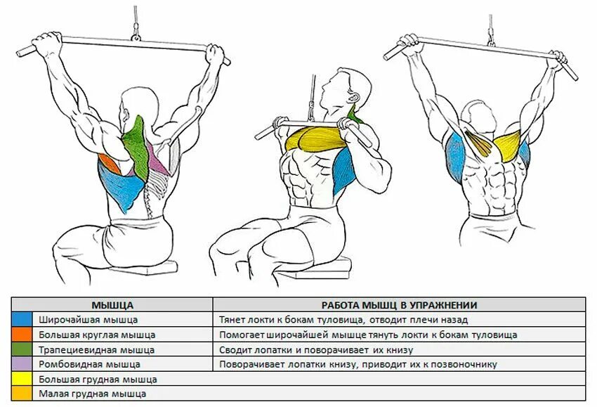 Тяга вертикального блока к грудной техника. Тяга верхнего блока широким хватом. Тяга верхнего блока к груди широким хватом. Вертикальная тяга широким хватом техника.