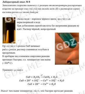Лабораторная работа реакция