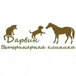 Дарвин ветклиника ульяновск верхняя