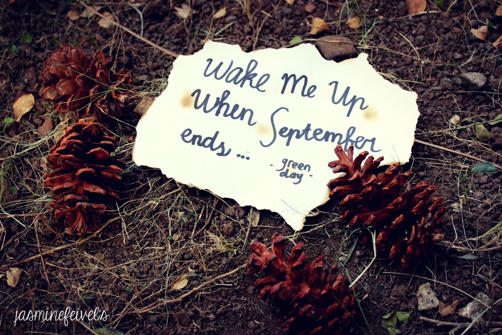 Green Day Wake me up when September ends. Wake me up when September ends текст. Green Day Wake me up when September ends album. Wakes we up when December. September ends тексты