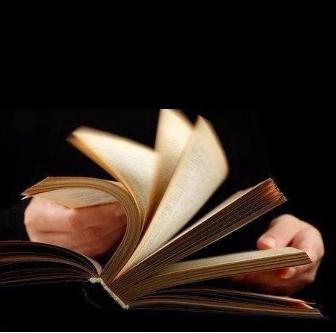 Прочитанную книгу тип