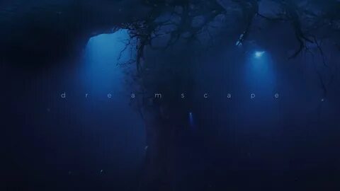 Dreamscape