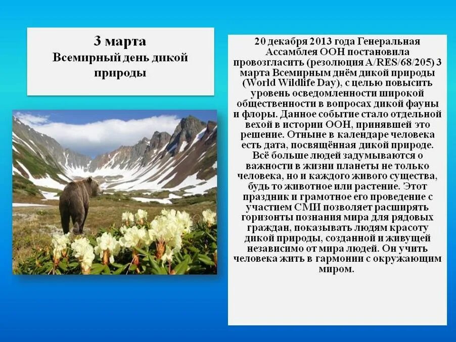 День дикой природы в школе. Всемирный день дикой природы. Всемирныднь дикой природы.