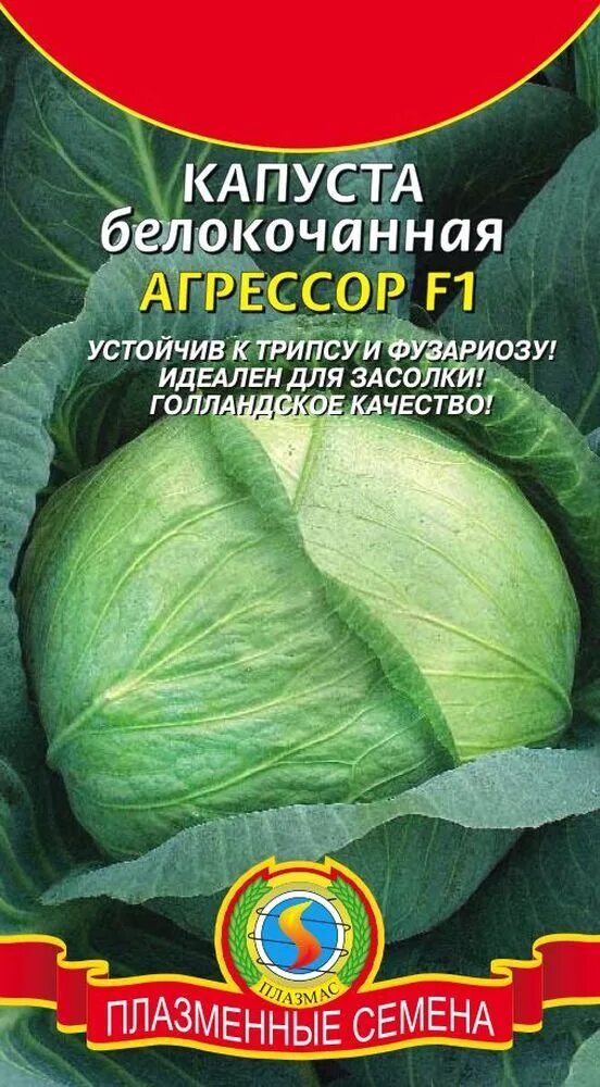Капуста Агресор F1: характеристика і опис гібридного сорту з фото