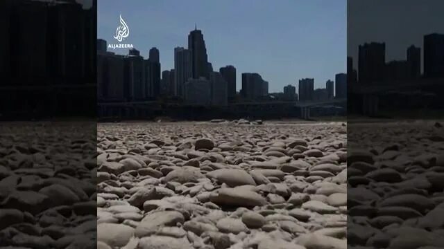 Река янцзы пересохла. Янцзы пересохла. Засуха в Китае. Кадры пересохшей Янцзы. Янцзы высохла.