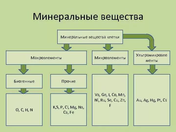 Составить схему химических элементов клетки ris11kletka-9 Биология в школе и дома