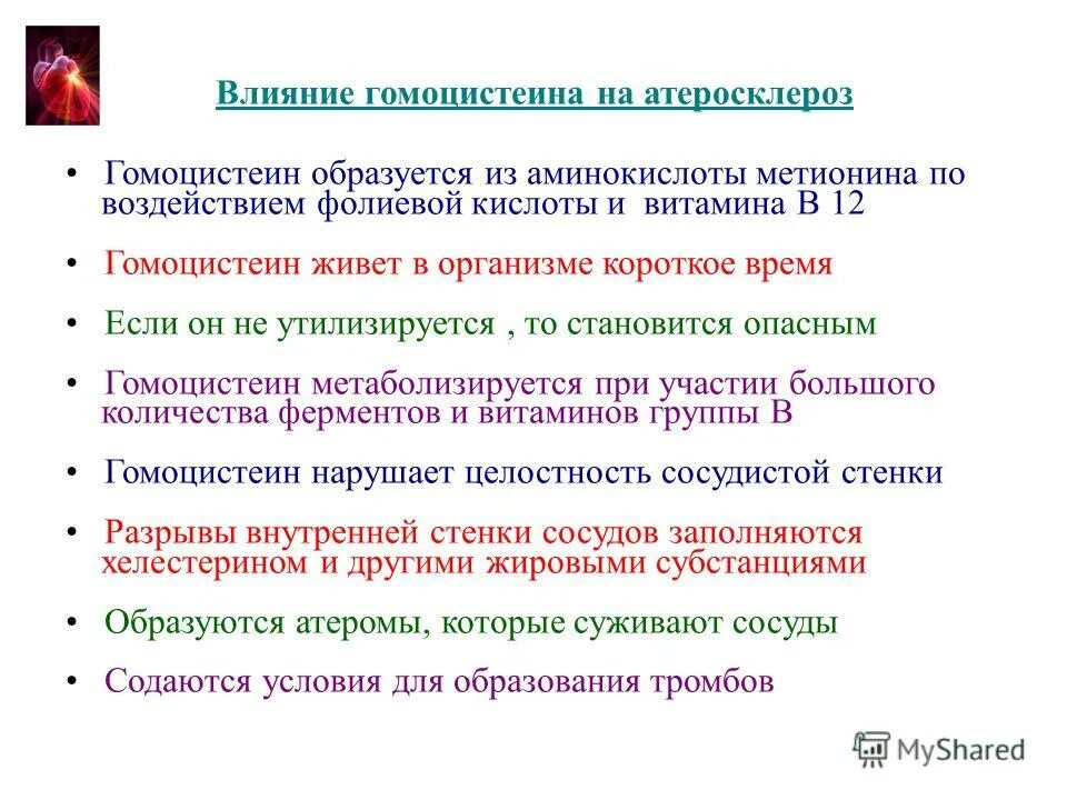 Гомоцистеин норма у мужчин. Роль гомоцистеина в развитии атеросклероза. Гомоцистеинемия и атеросклероз. Гомоцистеин фактор риска атеросклероза. Поль гомоцистеиеа в развитии атеросклероща.