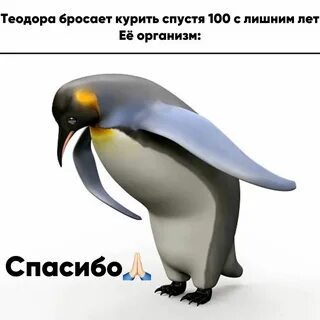 Теодора Романтика, Мемы, Веселые мемы