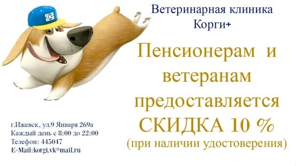 Ветеринарная клиника ижевск телефон. Корги Ижевск ветеринарная клиника. Корги плюс Ижевск ветеринарная клиника. Корги в клинике. Ветеринарка для корги.