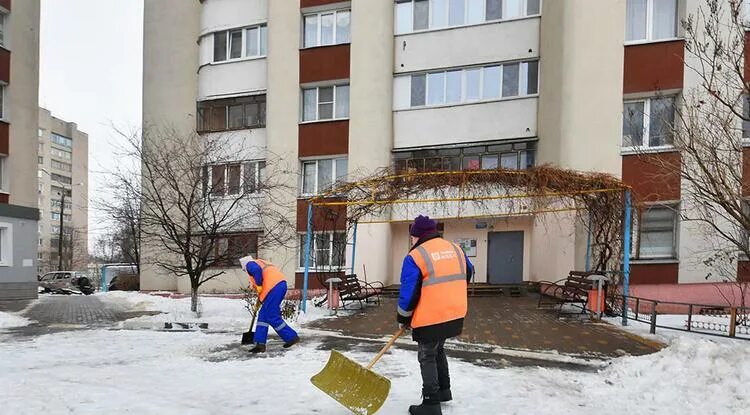 Жилищное управление ЖБК-1 Белгород. Управляющая компания. Управляющая компания регион. Управляющая компания регион Чита.