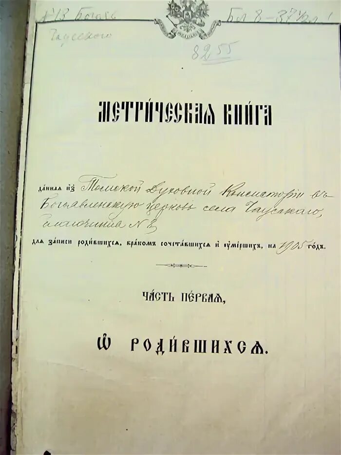 Забытый род. Забытый род