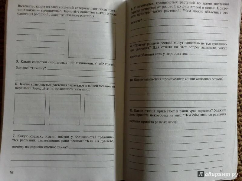 Биология тетрадь 6 класс лисов. Тетрадь для лабораторных работ по биологии 5 класс. Тетради для самостоятельных работ по биологии. Тетрадь наблюдения по биологии. Рабочая тетрадь для лабораторных работ по биологии 6 класс.