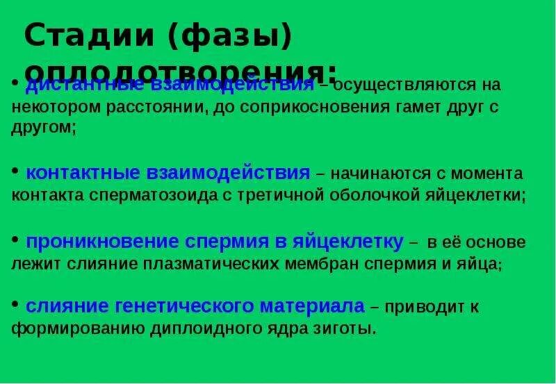 Процесс за которым следует оплодотворение. Фазы оплодотворения. Этапы оплодотворения. Фазы оплодотворения схема. Оплодотворение лекция.