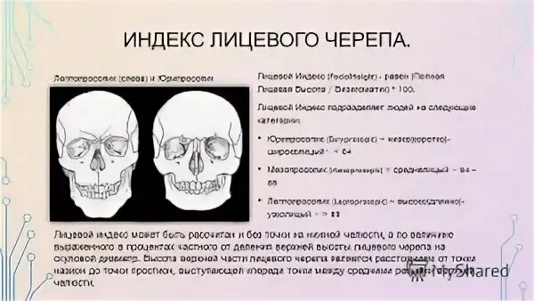 Что значит лицевой
