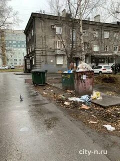 Двор редкий
